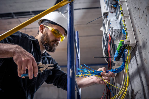 Best Residential Electrician Services  in South Lyon, MI