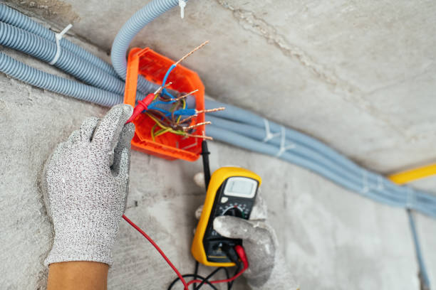 Best Electric Panel Repair  in South Lyon, MI